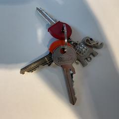 Klucze, zgłoszono przez Gemeente Amsterdam przy użyciu iLost