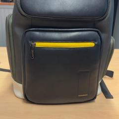 Bag, as reported by RET using iLost
