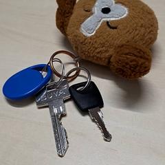 Giltzak, gisa salatu by Arriva Oost-Brabant iLost erabiliz