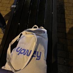 Witte tas, as reported to iLost