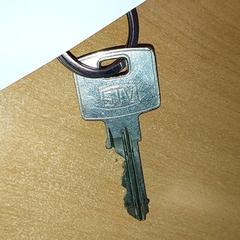 Nøkler, som rapportert av Centraal magazijn ved bruk av iLost