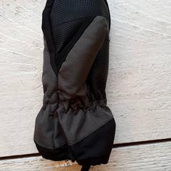 Hansker, som rapportert av DierenPark Amersfoort ved bruk av iLost