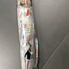 Regenschirm, gemeldet von Centraal magazijn über iLost