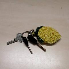 Klucze, zgłoszono przez Arriva Oost-Brabant przy użyciu iLost