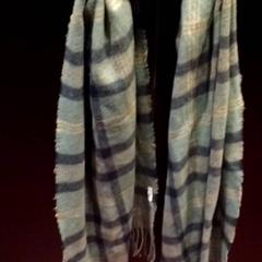 Xal Groen, segons ha informat TivoliVredenburg mitjançant iLost