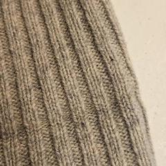 Beanie, as reported by GVB using iLost