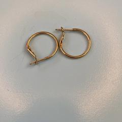 القرط، كما تم الإبلاغ عنه بواسطة UMC Utrecht عبر iLost