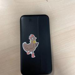 Power bank, as reported by Universitair Sportcentrum (USC) using iLost
