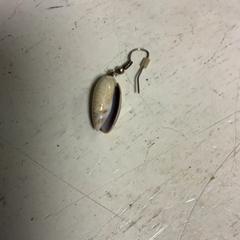 Earring, as reported by Artis using iLost