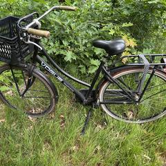 Fiets, Vogue transporter, som rapporterats till iLost