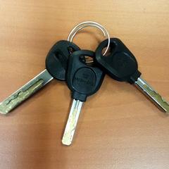 Clés de vélo, a été signalé par Vrije Universiteit Brussel (VUB) utilisant iLost