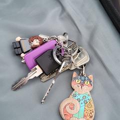 Sleutelbos in fiets, iLost에 보고됨