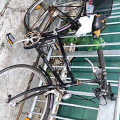 Dámsky bicykel Villiger, ako bolo nahlásené Stadswerk072 pomocou iLost