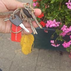 Sleutelbos, segundo informou a iLost