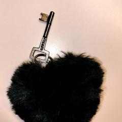 Chave, como reportado por Ziekenhuis Oost-Limburg utilizando o iLost