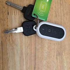 Klucze, zgłoszono przez Gemeente Wageningen przy użyciu iLost