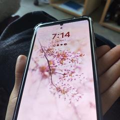 Phone، كما تم الإبلاغ عنه عبر iLost