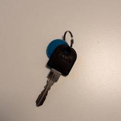 자전거 열쇠, iLost를 사용하여 Diergaarde Blijdorp에 보고됨