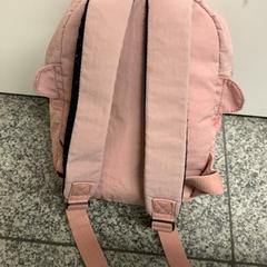 Mochila Roze, segundo informou Eindhoven Airport usando iLost