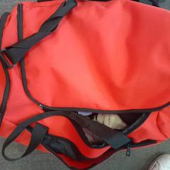 Sporttasche, gemeldet von Centraal magazijn über iLost