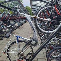 Rower Batavus Grijs, zgłoszono przez Gemeente Barneveld przy użyciu iLost