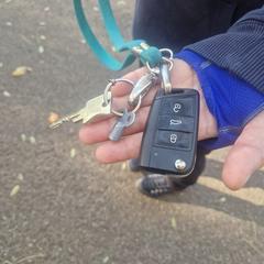 Sleutels, segons s'ha informat a iLost