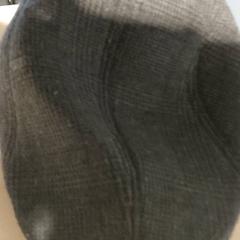 Roba - pet, segons ha informat Regio Antwerpen - Brussel mitjançant iLost