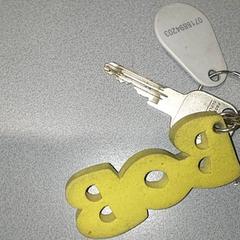 Gakoa - Plaetinck, gisa salatu by Centraal magazijn iLost erabiliz