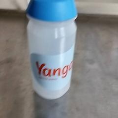 Fles, a été signalé par Pathé Scheveningen utilisant iLost