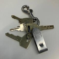 Giltza-giltza, gisa salatu by Gemeente Rijswijk iLost erabiliz