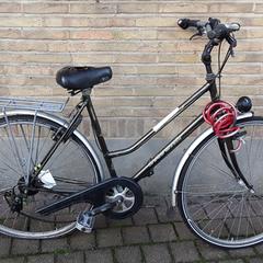 Fiets ľavenir  Goud, come riportato da Fietsdepot Hasselt utilizzando iLost