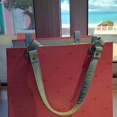 Bag, as reported by Madurodam using iLost