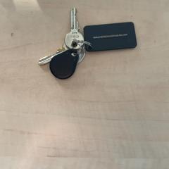 Klíč, jak nahlášeno Blauwnet Zwolle pomocí iLost