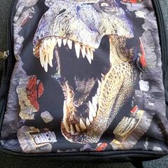 Ryggsekk Dino, som rapportert av Regio Antwerpen - Brussel ved bruk av iLost