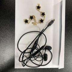 Náramek & Sluchátka gold, jak nahlášeno Van der Valk Duiven bij Arnhem A12 pomocí iLost