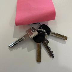 Klíčenka Sleutels, jak nahlášeno Gemeente Noordwijk pomocí iLost