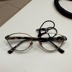 Brýle, jak nahlášeno ilévia pomocí iLost