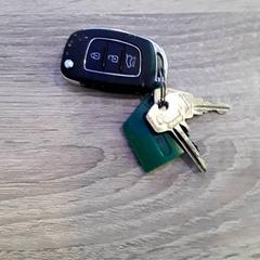 Llave de coche, ha sido reportado por EBS Tramplein con iLost