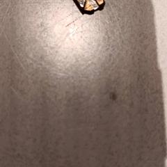 キーホルダー がiLostで De Efteling によって報告されました