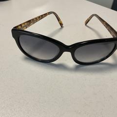 Sonnenbrille Zwart met bruine poten, gemeldet von Breng Arnhem über iLost
