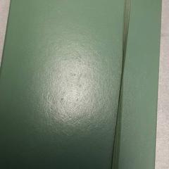 Jegyzetfüzet Groen, amint azt Arriva Friesland / Groningen az iLost segítségével jelentette.