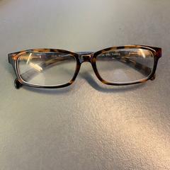 Bril Bruin, zoals gemeld door Eindhoven Airport met iLost