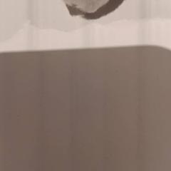 Plüss, amint azt De Efteling az iLost segítségével jelentette.