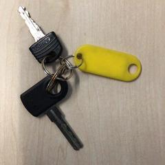 Key, as reported by Gemeente Renkum using iLost