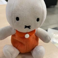 Boneca de xoguete 記名あり, segundo informou IKEA立川 usando iLost