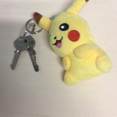 Clave, segundo informou Haaglanden Medisch Centrum usando iLost