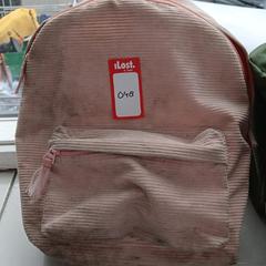 Rucksack Roze, gemeldet von Oostenrijk Group über iLost