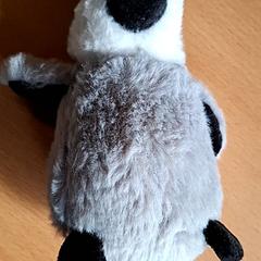 Knuffel Pinguin, as reported by Attractie- & Vakantiepark Slagharen using iLost