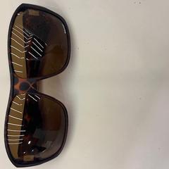 Zonnebril Bruin, segons ha informat Alrijne Leiden mitjançant iLost