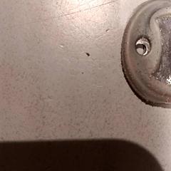 Hanger، كما تم الإبلاغ عنه بواسطة De Efteling عبر iLost